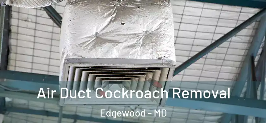  Air Duct Cockroach Removal Edgewood - MD