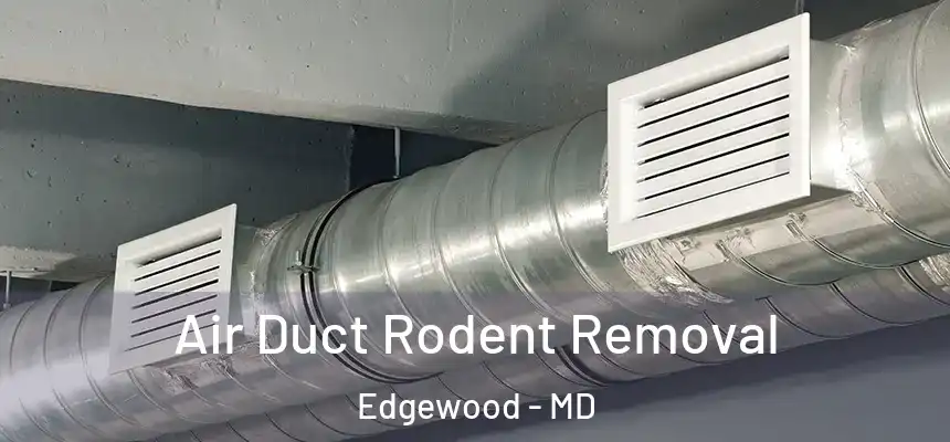  Air Duct Rodent Removal Edgewood - MD