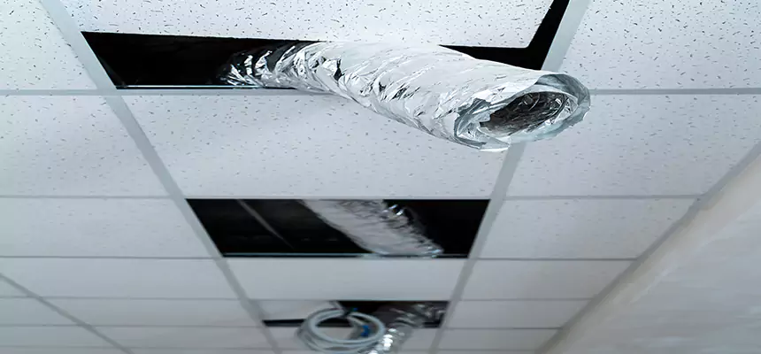 Affordable HVAC Sanitizing After Pest Removal in Edgewood