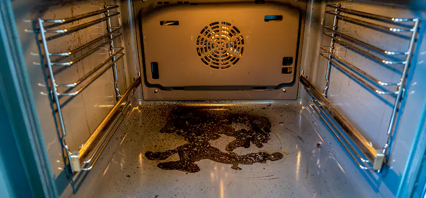 Our Dryer Vent Mold Cleaning Services in Edgewood, MD