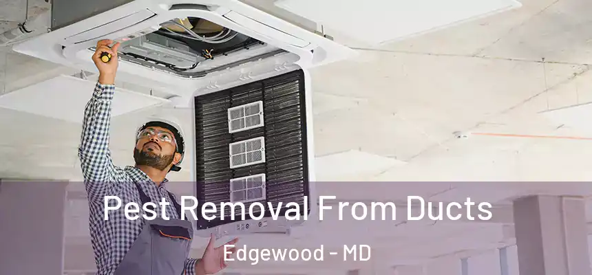 Pest Removal From Ducts Edgewood - MD