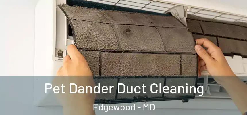 Pet Dander Duct Cleaning Edgewood - MD