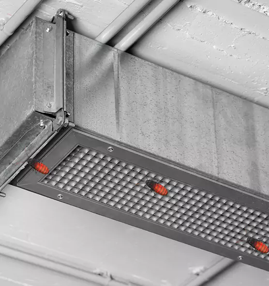About Air Duct Cockroach Removal in Edgewood, MD