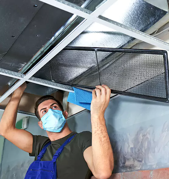 Professional Air Duct Pollen Cleaning in Edgewood, MD