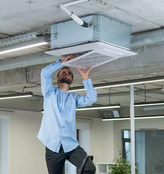 Advanced Rodent Droppings In Vents in Edgewood, MD