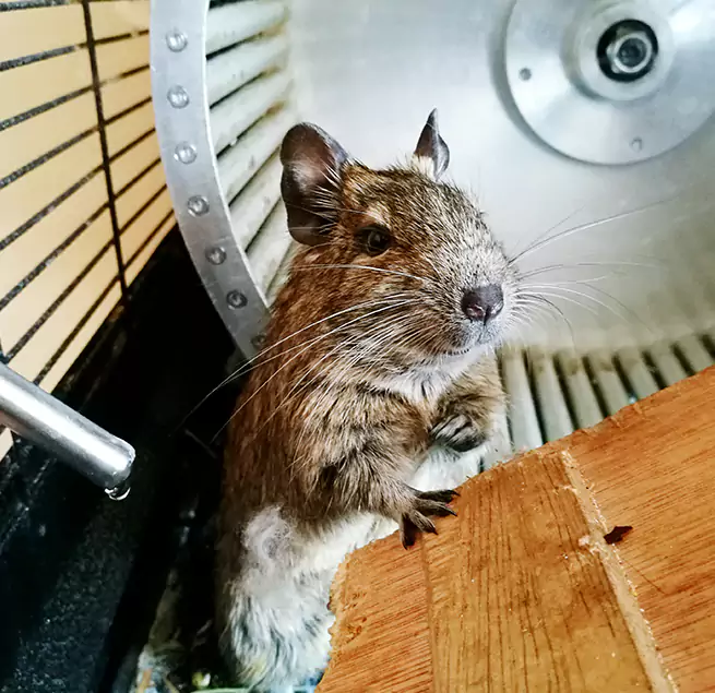 Why Homeowners & Businesses Trust Us Edgewood, MD