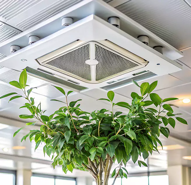 Why Homeowners & Businesses Trust Us in Edgewood, MD?